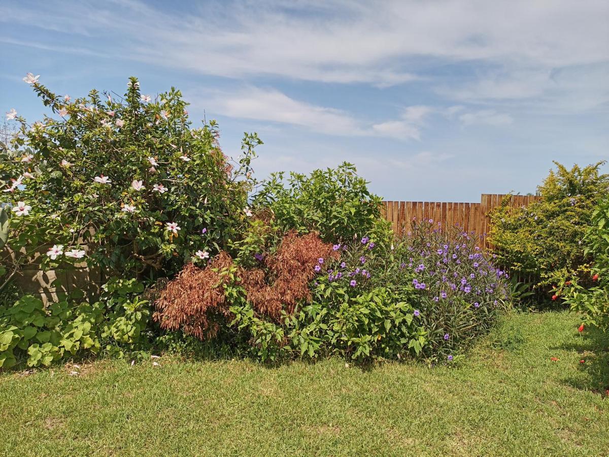 Whispering Waves Villa Bazley Beach Exterior photo